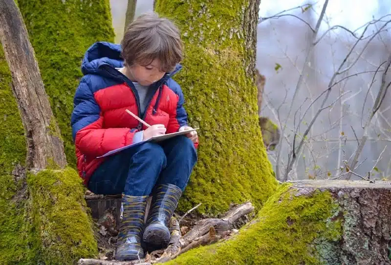 Blog-ecole-foret-home