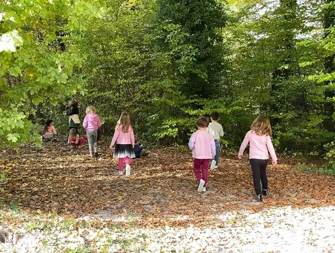 Ecole Montolivet lecole en foret-10