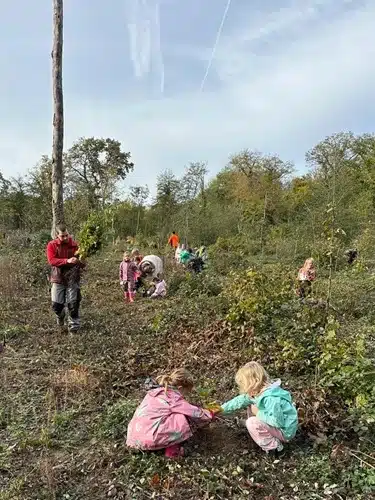 Ecole Montolivet lecole en foret-11